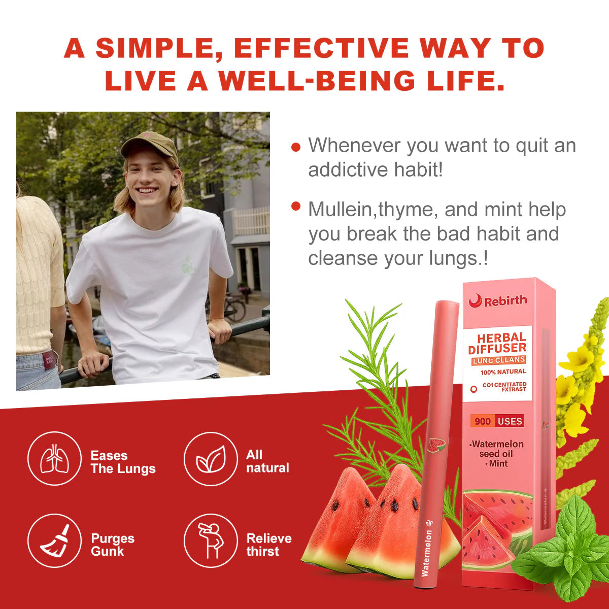 Watermelon Herbal Diffuser- 900 Uses